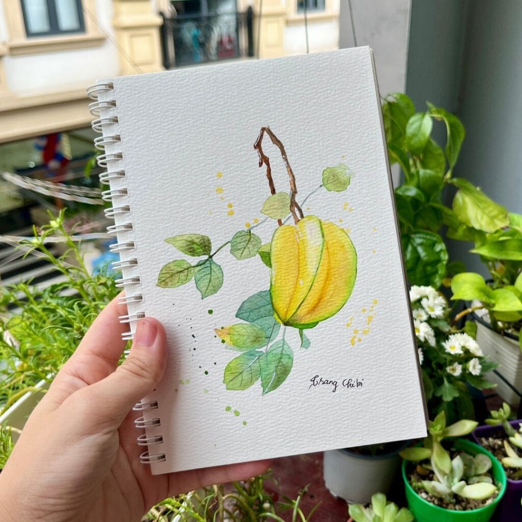 Vẽ quả khế màu nước