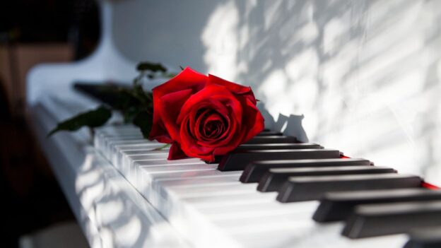 Sheet piano dễ thương và dễ tập