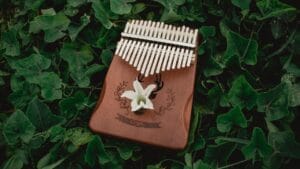 Khoá học đàn kalimba
