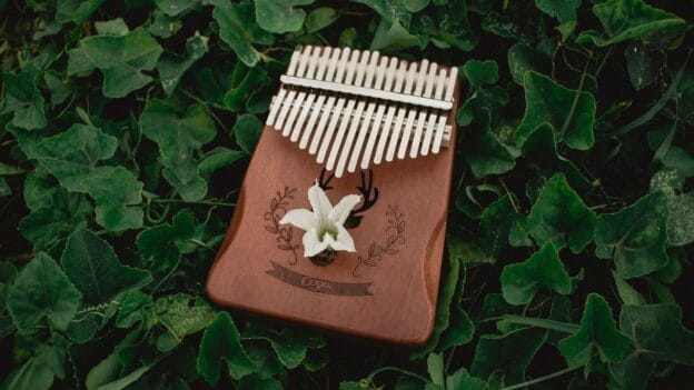Khoá học đàn kalimba