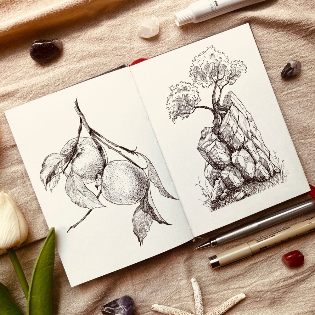 Ký hoạ những quả hồng, đá và cây