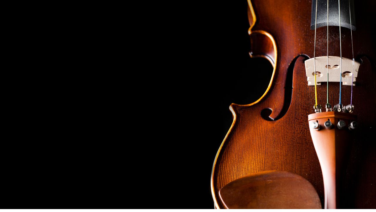 Học 1 kèm 1: Học thử Violin