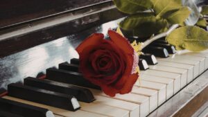 Tuyển tập sheet piano nhạc Việt