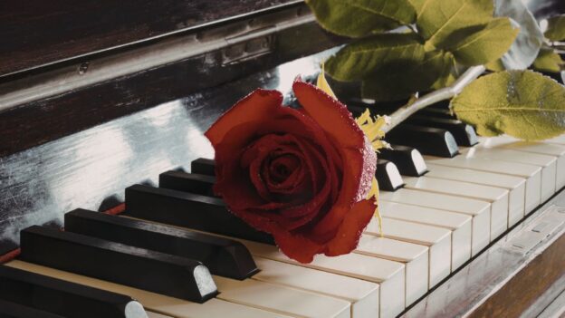 Tuyển tập sheet piano nhạc Việt