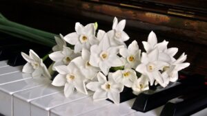 Khoá học pop piano 1 kèm 1