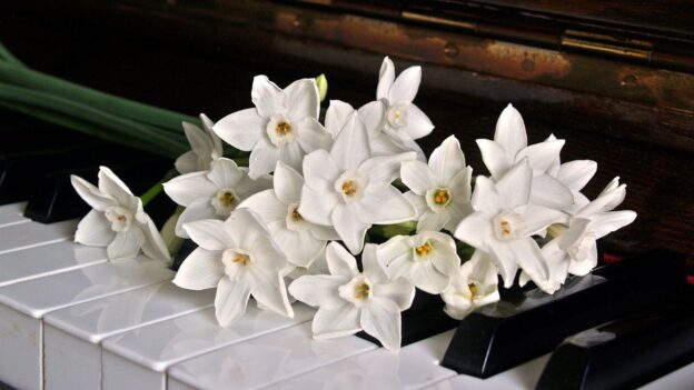 Khoá học pop piano 1 kèm 1