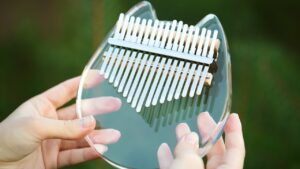 học 1 kèm 1 đàn kalimba