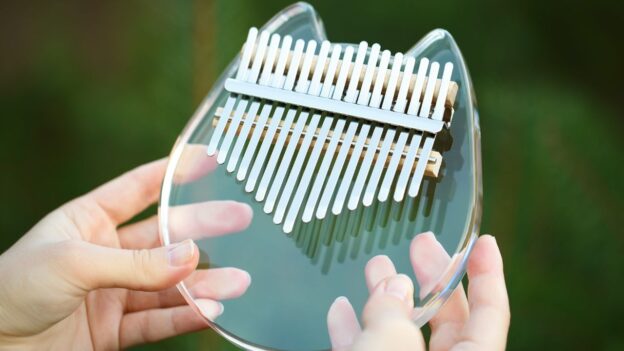 học 1 kèm 1 đàn kalimba