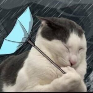 Profile photo of Catie Tran