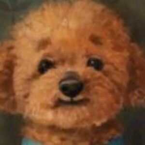 Profile photo of Hiền Hà