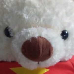 Profile photo of Thương lê