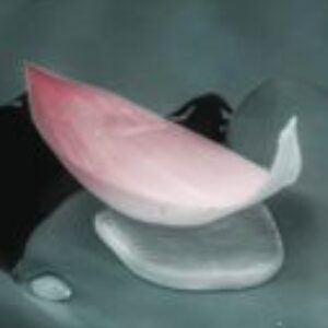 Profile photo of Vy Nguyen