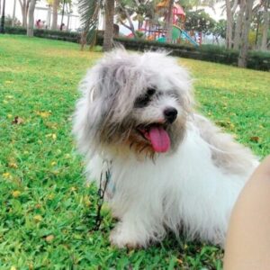 Profile photo of Yuka Chan
