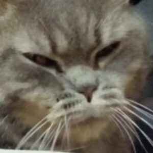 Profile photo of Lynny N
